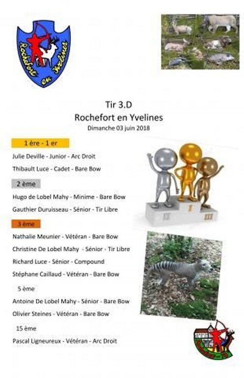 2018 06 03 - ROCHEFORT EN YVELINES - 3.D