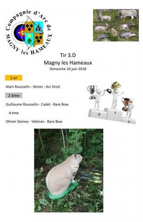 2018 06 10 - MAGNY LES HAMEAUX - 3.D