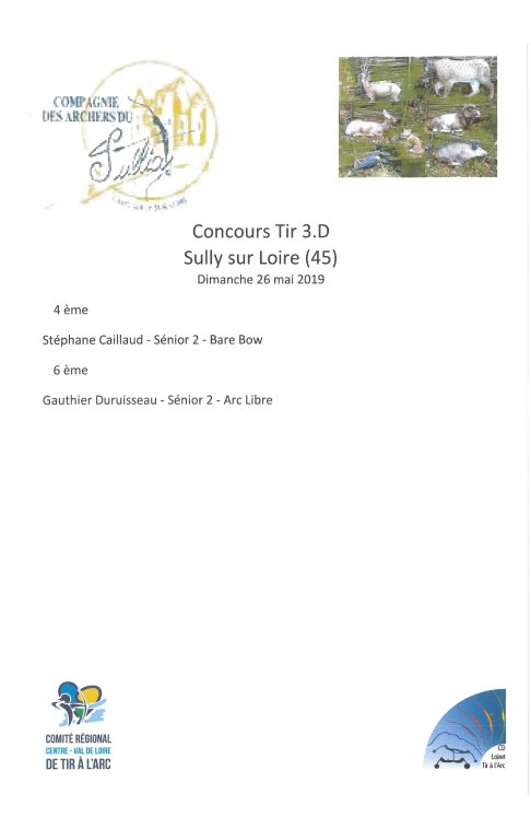 2019 05 26 - SULLY-sur-LOIRE - 3.d